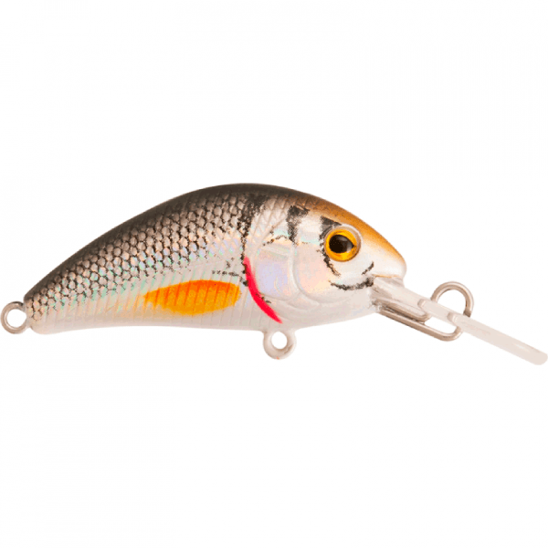 SEÑUELO RAPTURE EVOQUE #NTR, 40MM1