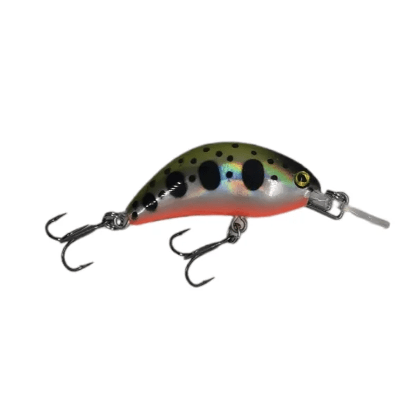SEÑUELO RAPTURE HOT BEAN #YMR, 40MM1