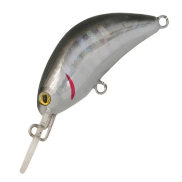 SEÑUELO RAPTURE HOT BEAN #S, 40MM1