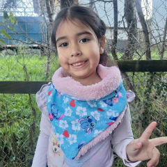 Bandana Isidora Stick celeste corazon palo rosa 0