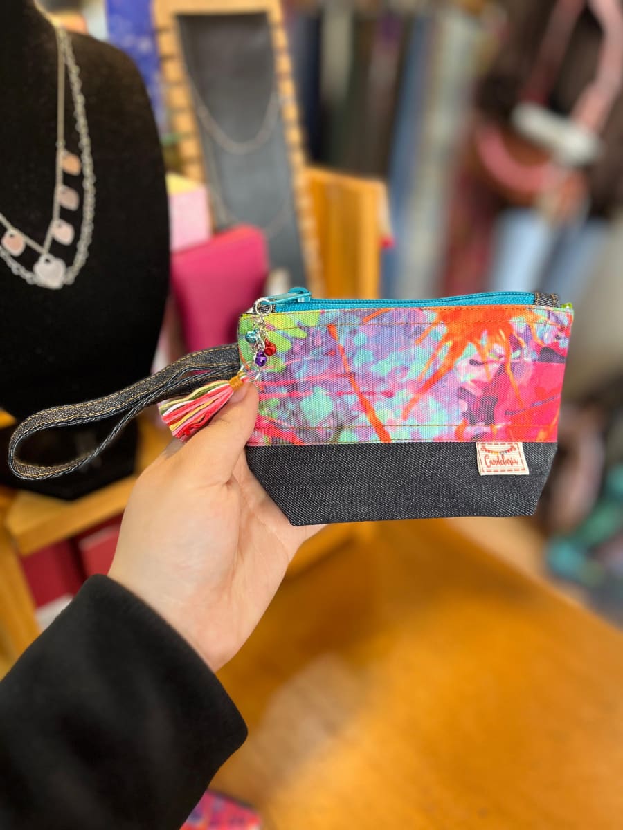 Monedero con fuelle variedad de diseños27