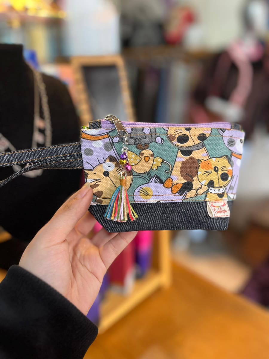 Monedero con fuelle variedad de diseños24
