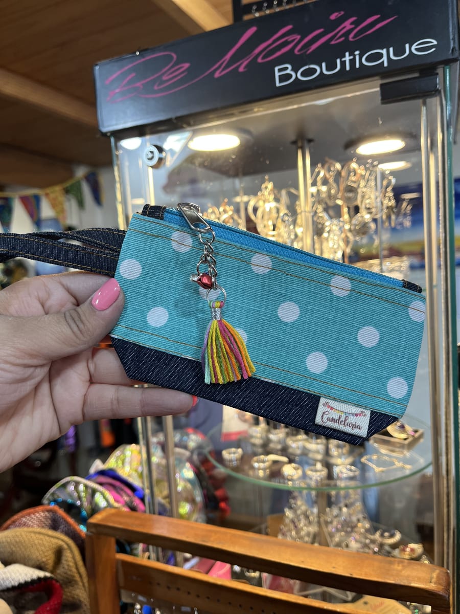 Monedero con fuelle variedad de diseños11