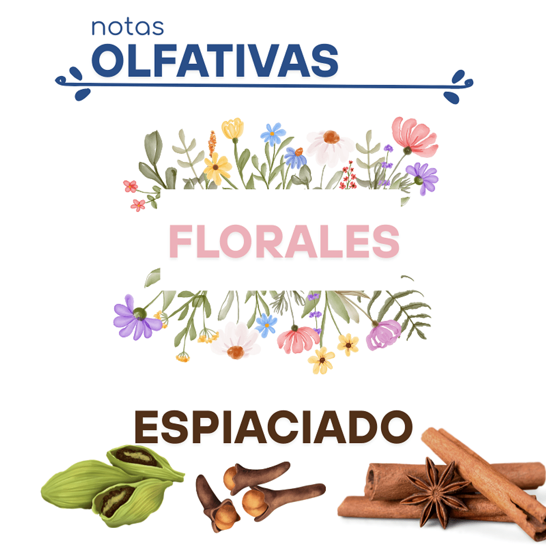 F02 POISON DUPE PERFUME2