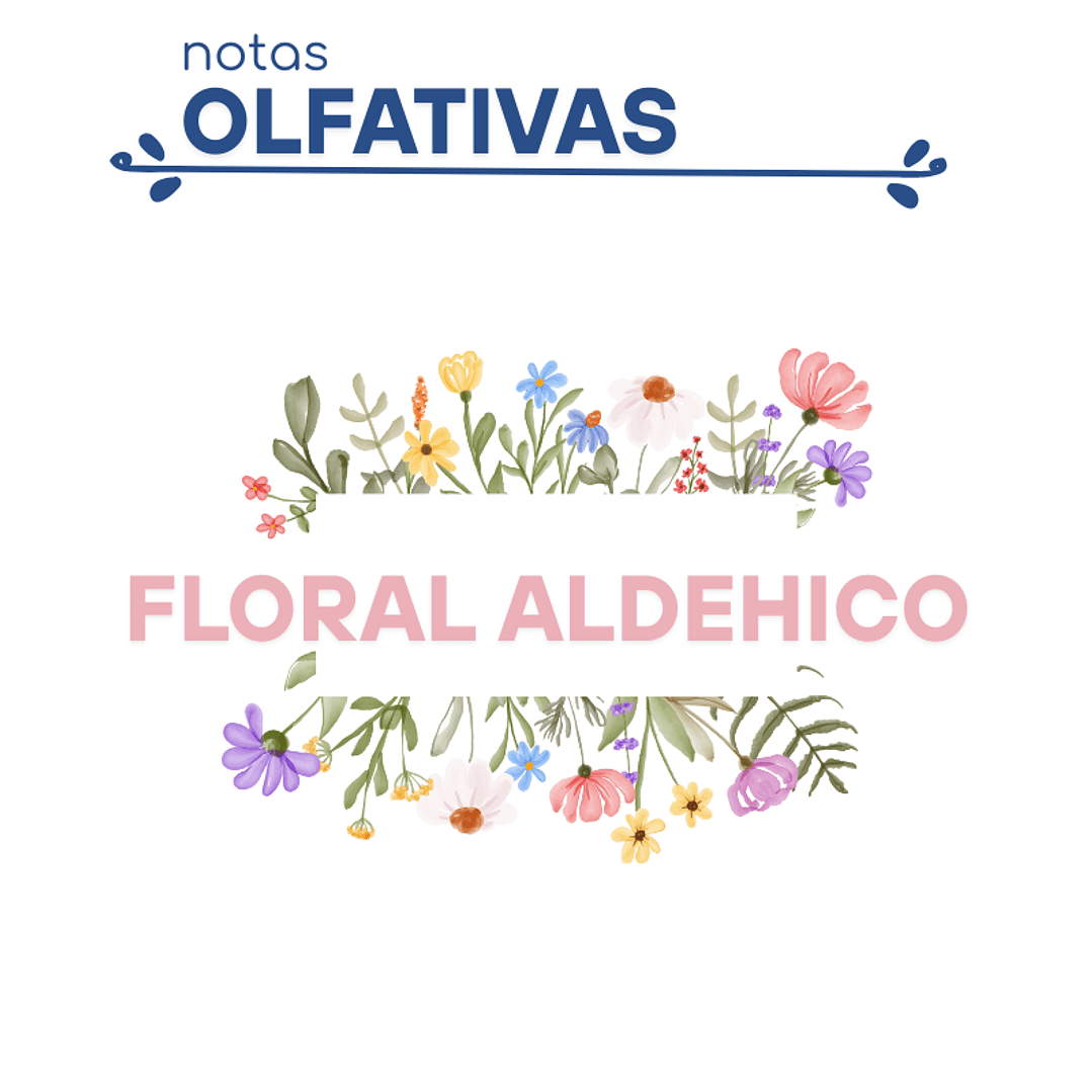 F05 CHANEL N5 DUPE PERFUME2