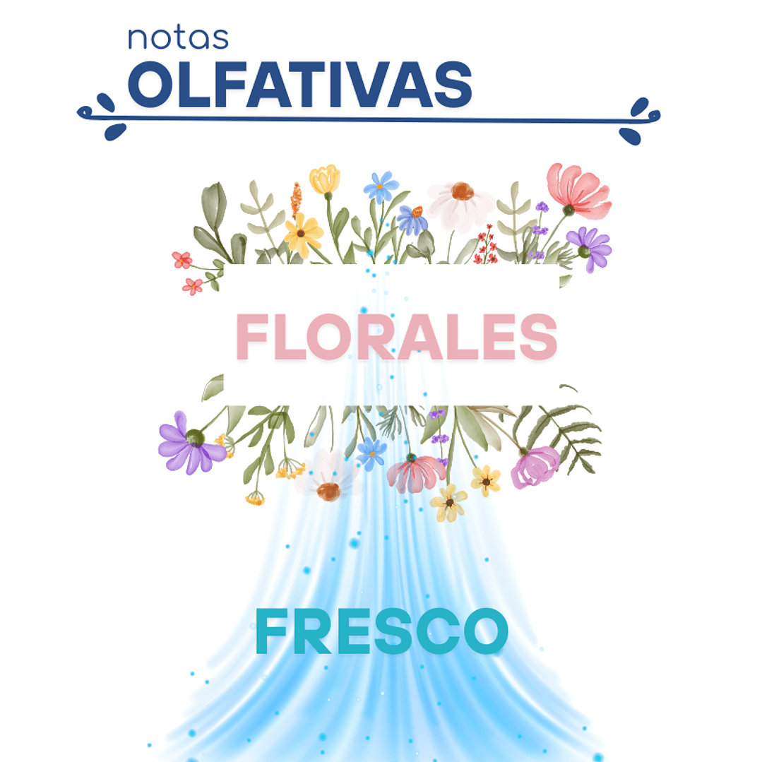 F16 ANIS ANAIS, CACHAREL DUPE PERFUME2