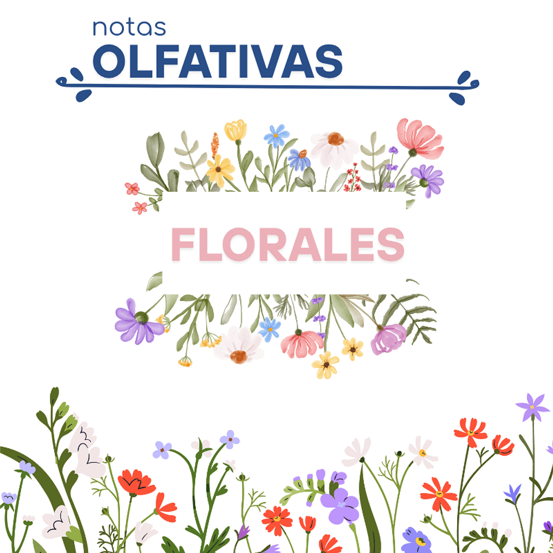 F20 ETERNITY, CALVIN KLEIN DUPE PERFUME2