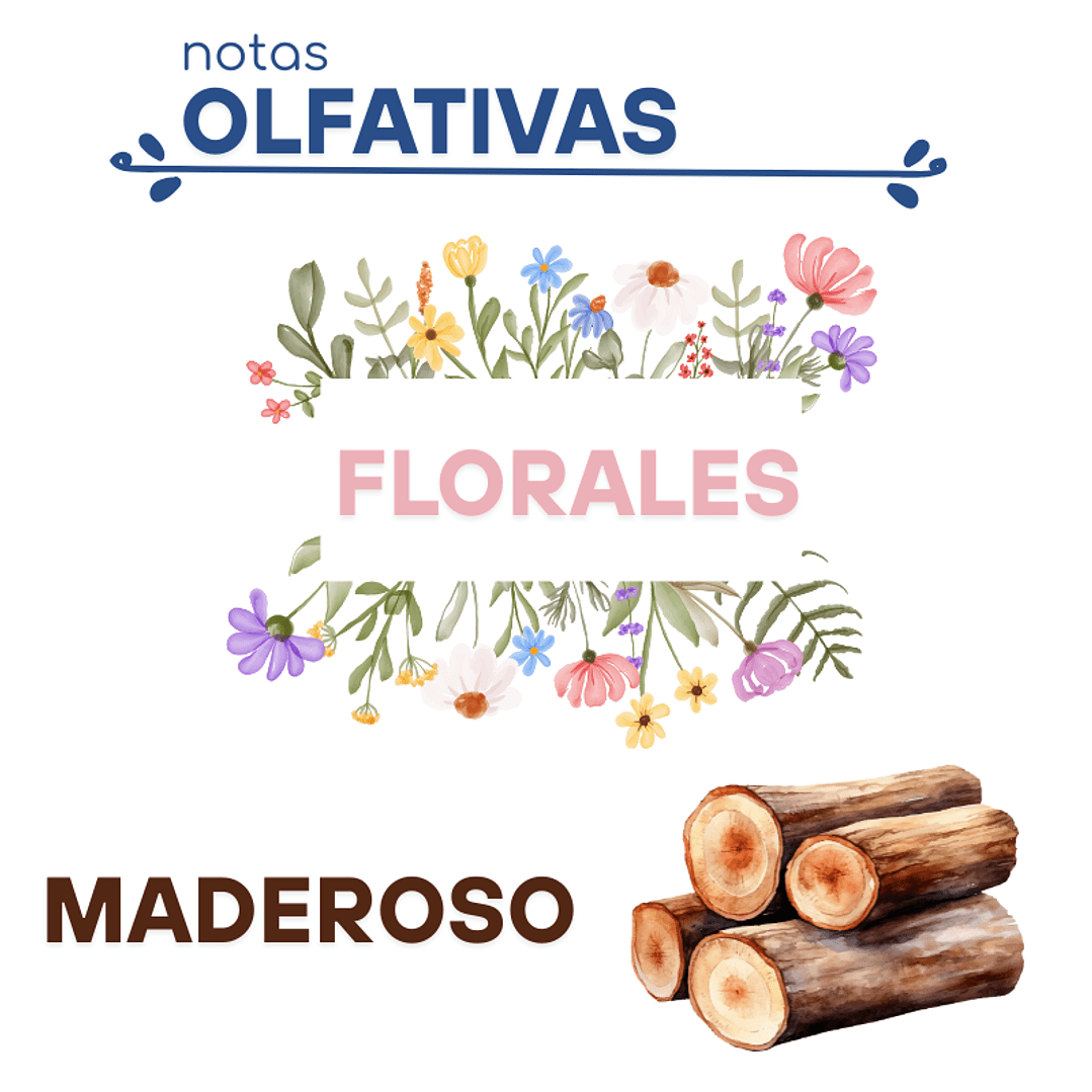 F22 WOMAN, RALPH LAURENT DUPE PERFUME2