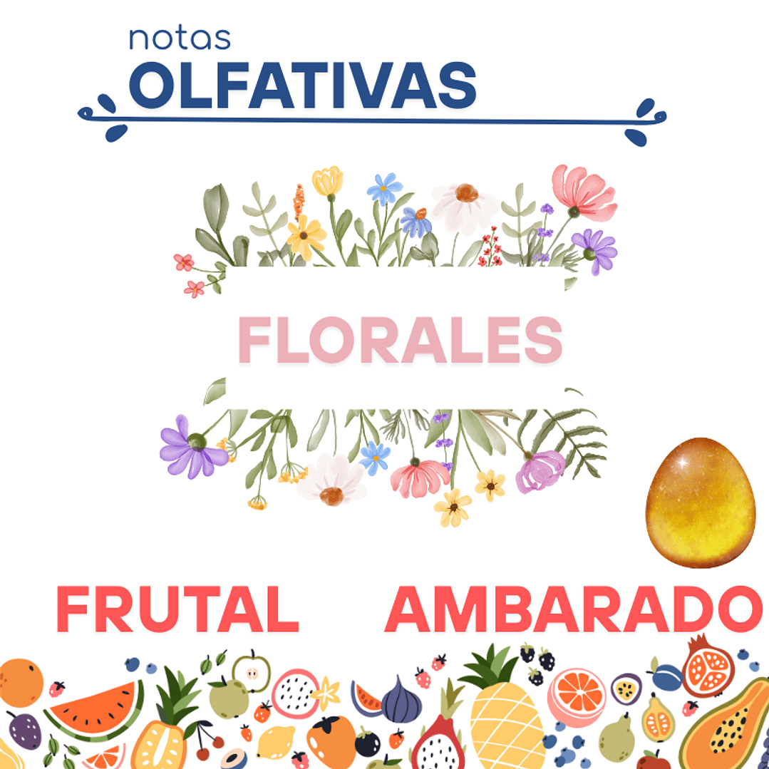 F25 BURBERRY HER DUPE PERFUME2