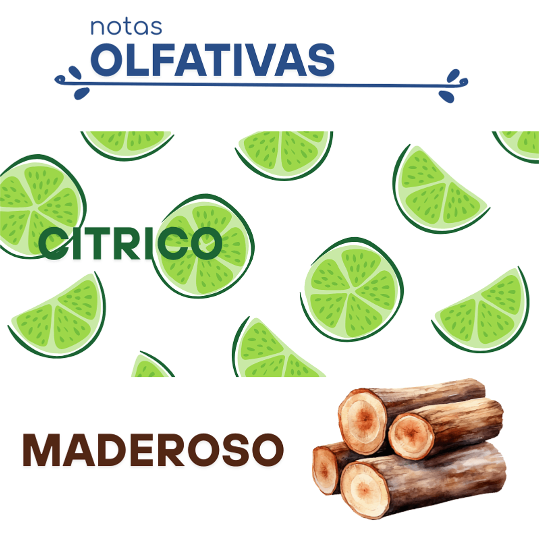 F28 CK ONE, CALVIN KLEIN DUPE PERFUME2