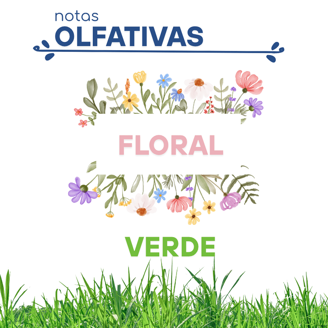 F48 DUENDE, JESUS DEL POZO DUPE PERFUME2