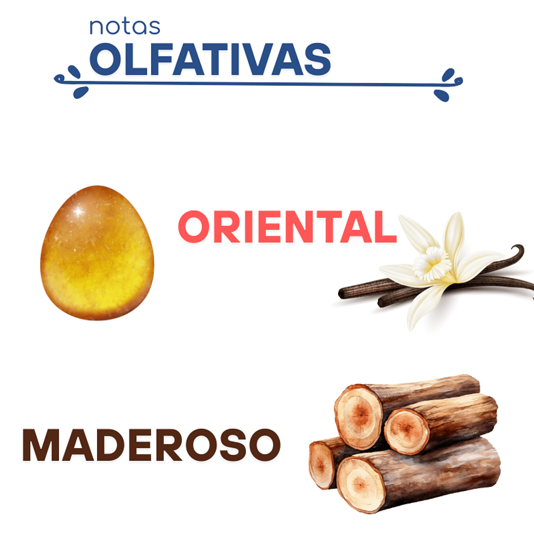 F53 EUPHORIA, CALVIN KLEIN DUPE PERFUME1