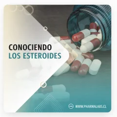 Conociendo los Esteroides.