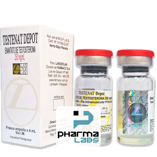 Testosterona Enantato Landerlan 4ml/250mg.1
