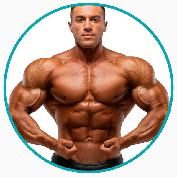 Ciclo Volumen Magro 21