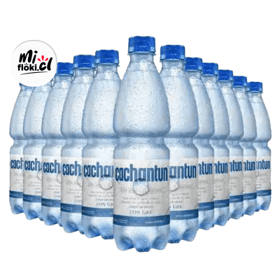 Display Cachantun Con Gas 12x600ml