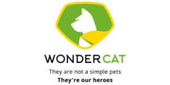 Wonder Cat