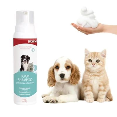 Foam Shampoo (espuma seca)1