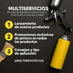 MULTISERVICIOS CAS MULTISERVICIOS CAS