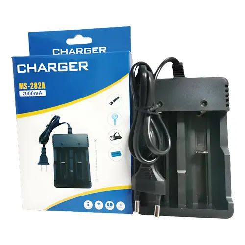CARGADOR PILA DOBLE1