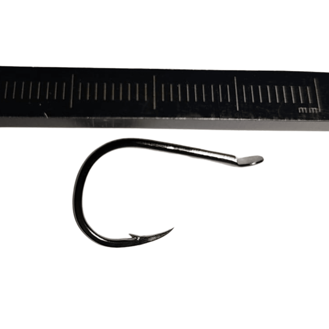 ANSUELO 2 cm.
