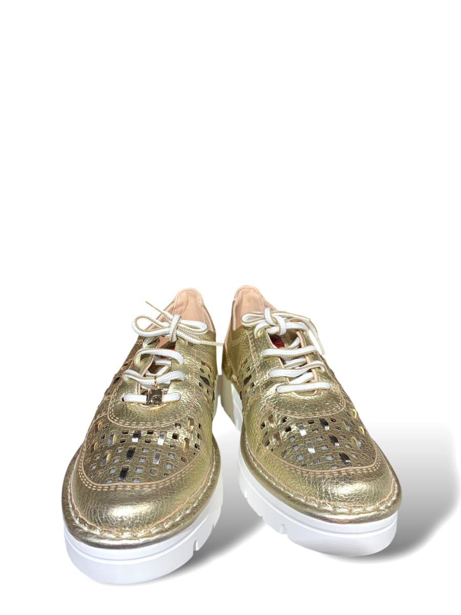 DEPORTIVO EVA CHAMPAN METAL6