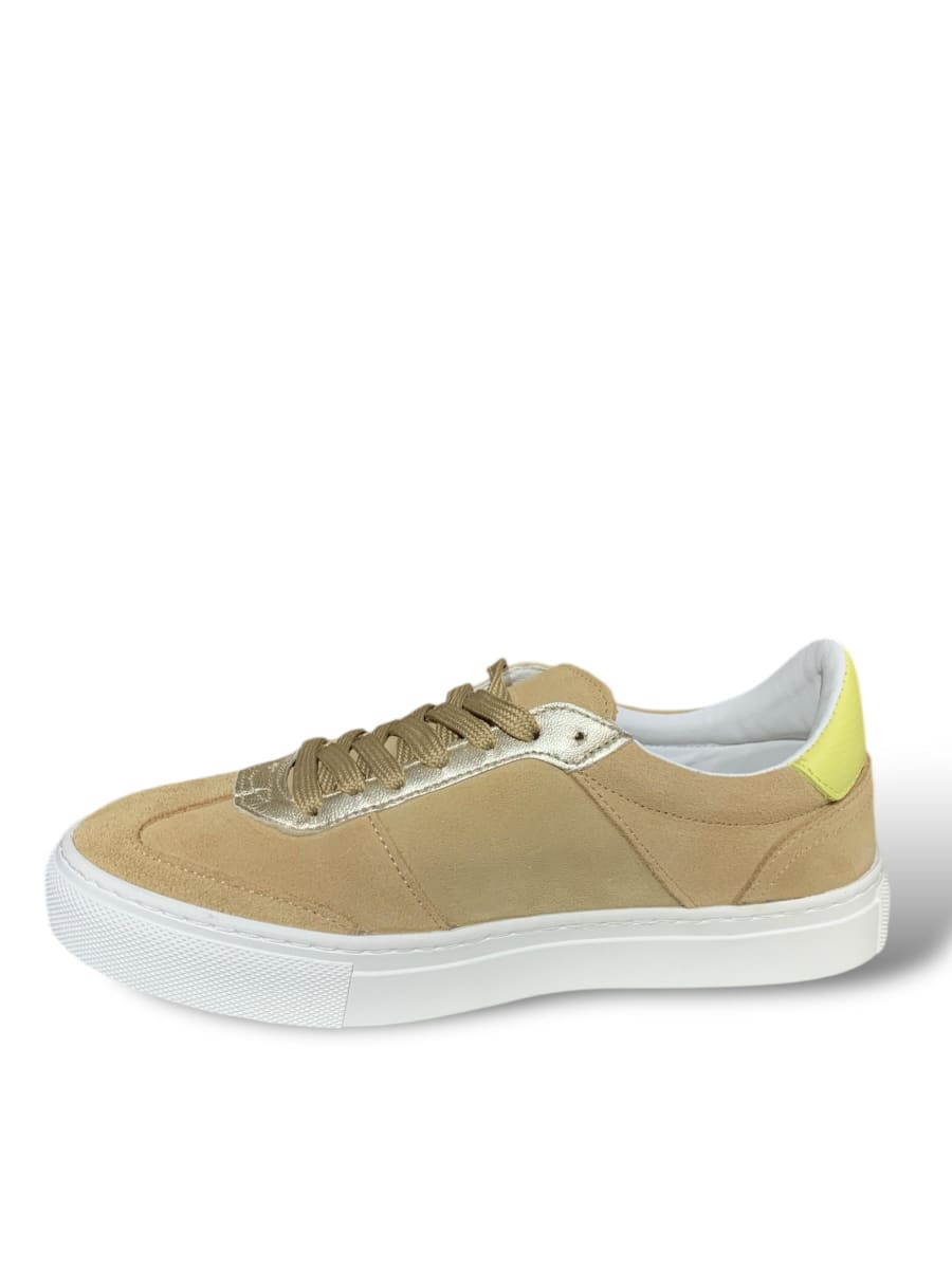 DEPORTIVO SANTA SERRAJE AVELLANA2