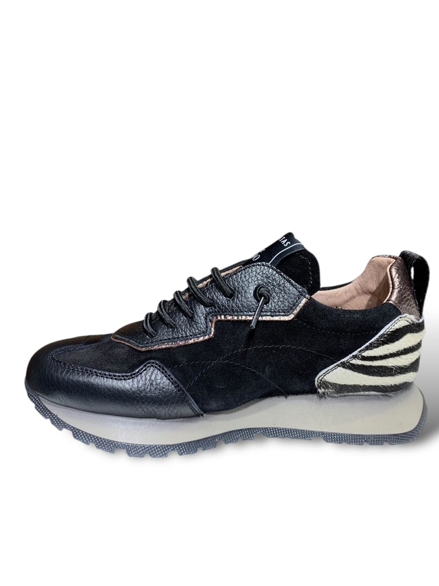 DEPORTIVO  HISPANITAS KANSAS BOLERO BLACK6