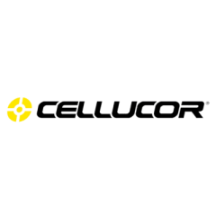 C4
