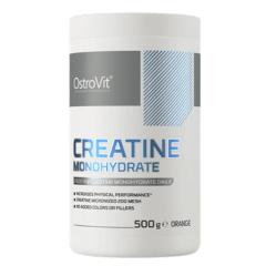 CREATINE MONOHYDRATE SABORES 500 GRS
