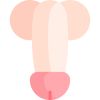 Dildos