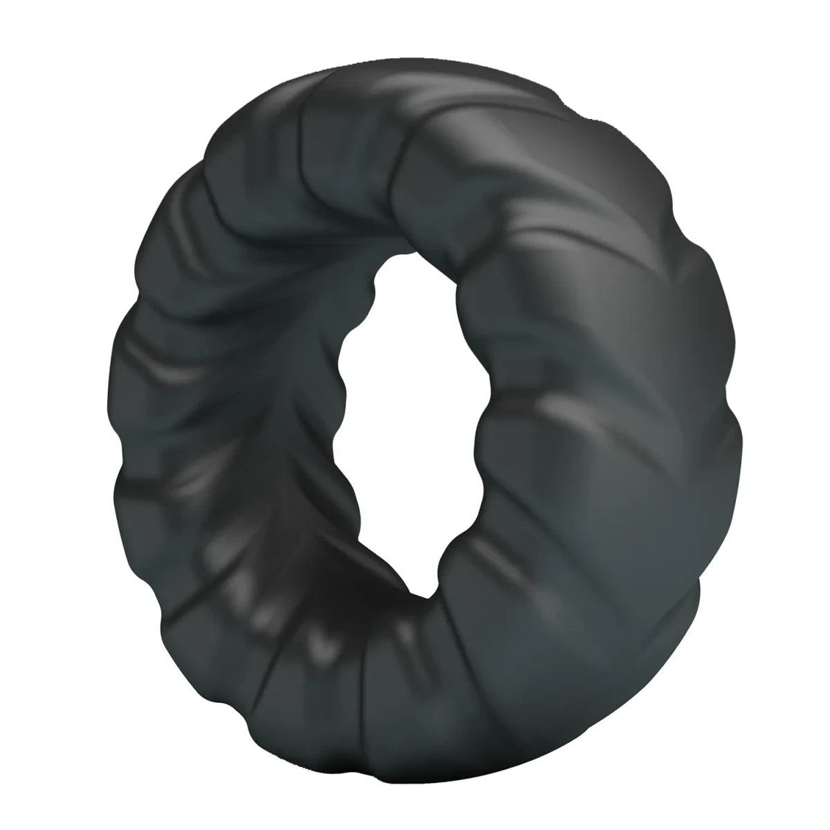 Anillo Jeriko3