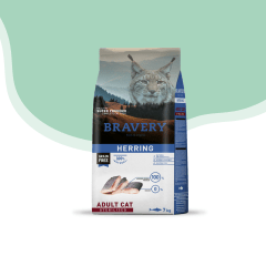Bravery gato esterilizado herring
