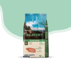 Bravery perro mini cachorro pollo