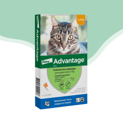 Advantage antip. externo gato hasta 4 kg
