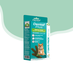Dental Plus Stick 9 cm Sabor Menta Pack 7 Dias