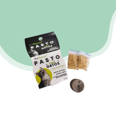 Kit Pasto plantar hierba gatera