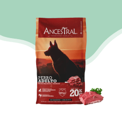 Ancestral perro adulto 20 kg