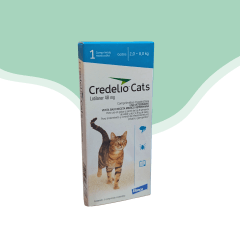 Credelio antip. externo gato 2.0 - 8.0 Kg 1 Comprimido
