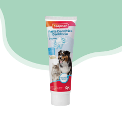Pasta Dental Beaphar sabor carne perros y gatos 100g