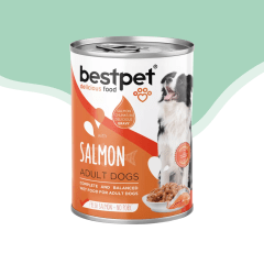 Lata bestpet perro adulto trozos de salmon 400 gr