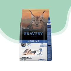 Bravery gato senior herring
