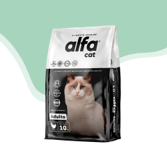 Alfa gato adulto
