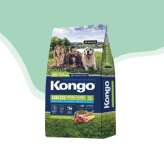 Kongo perro adulto