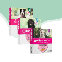 Bayticol collar antipulgas perro 7 meses