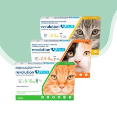 Revolution Plus gato antiparasitario pipeta