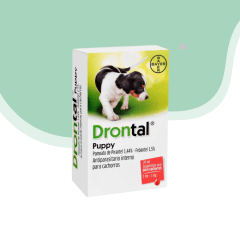 Drontal puppy 20 ml