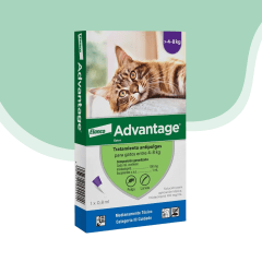 Advantage antip. externo gato 4 - 8 kg