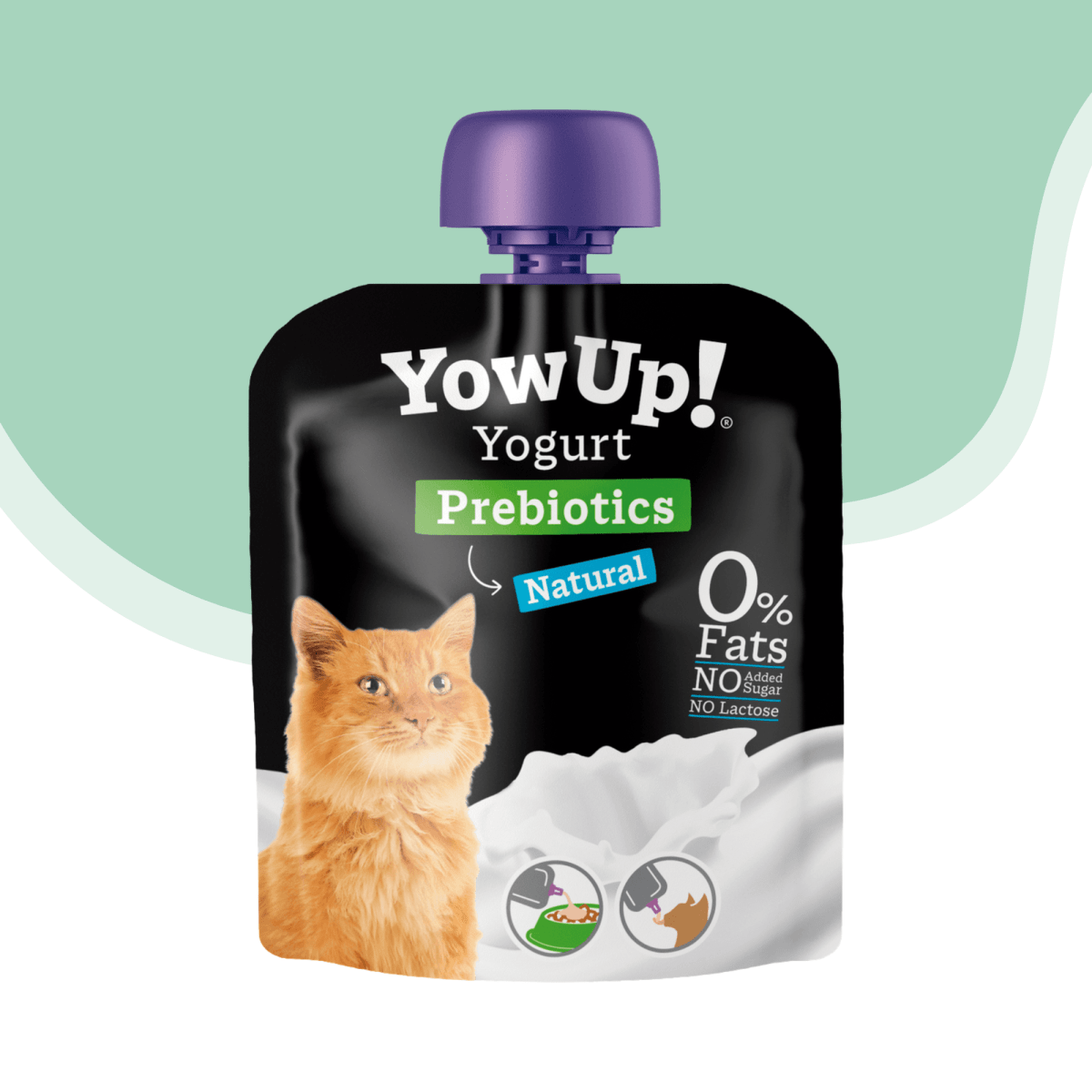 Yogurt gato prebioticos Yowup 85 gr1