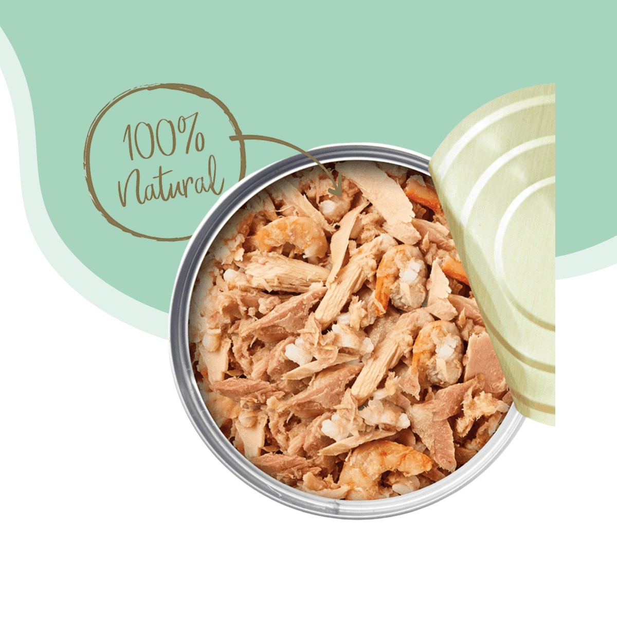 Lata Applaws gato sabor pescado azul 70 gr1